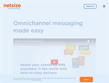 Tablet Screenshot of netsize.com